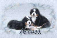 retour accueil site